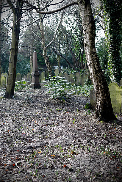 istock Cemetery tombstones 123970651