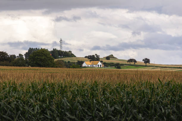 Old farmhouse in Mecklenburg Western Pomerania with a cornfield