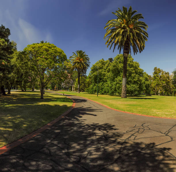 Immersed in the green of Melbourne.