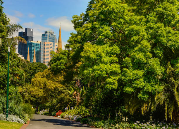 istock Immersed in the green of Melbourne. 1239710898
