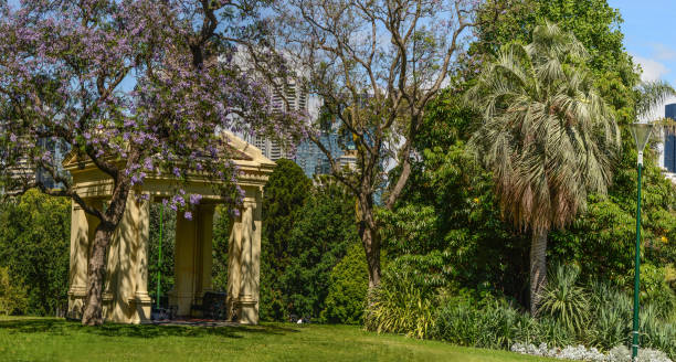 Immersed in the green of Melbourne.