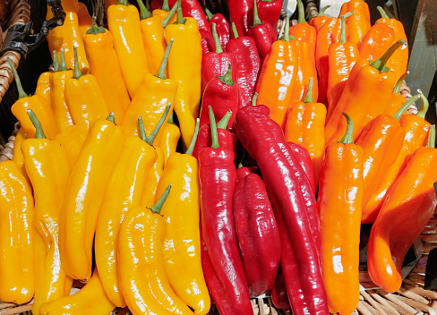 Sweet long peppers in basket. Red yellow and orange sweet long peepers.