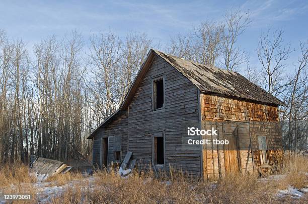 In Aspens Derelict House Stockfoto und mehr Bilder von Agrarbetrieb - Agrarbetrieb, Alt, Außenaufnahme von Gebäuden