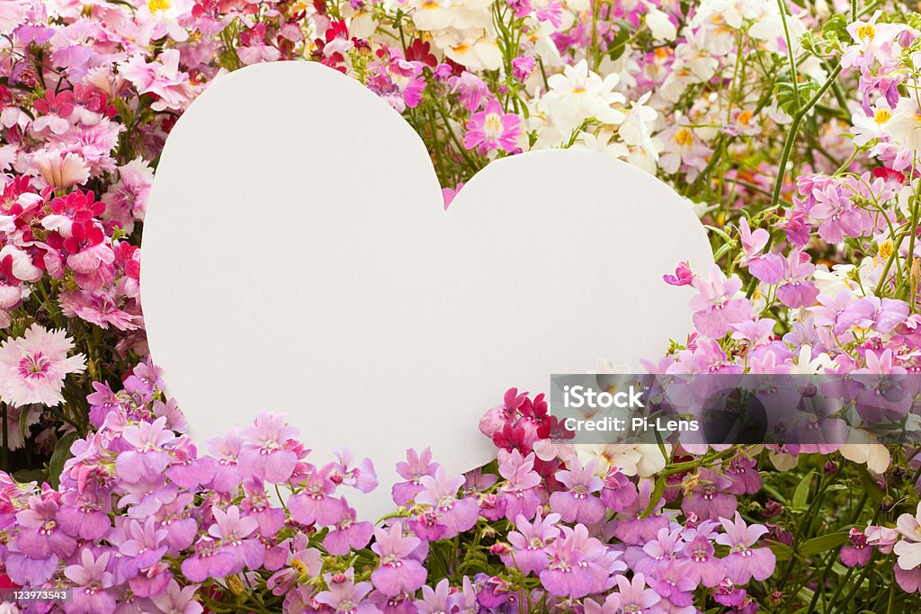 Flower greetings from heart  Blank Stock Photo