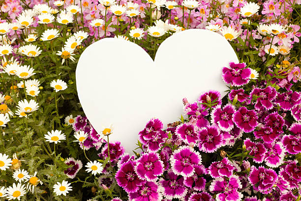 istock Flower greetings from heart 123973547