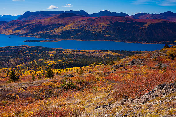 istock Fish Lake, Yukon Territory, Canada 123973678