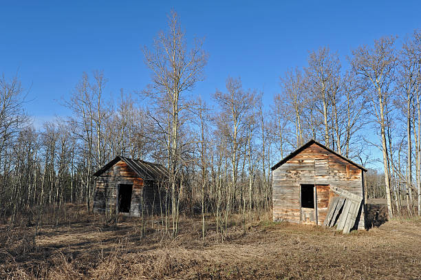 istock Old abandoned farm building; granary shed or barn 123974247