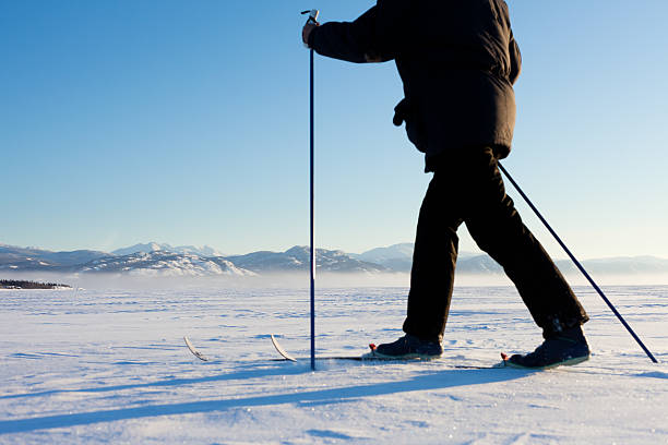 istock Cross-Country Skier in Tracks 123974293