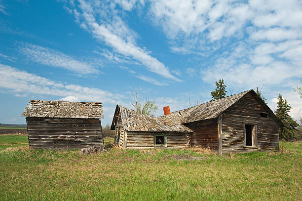 istock Old abandoned farm building: derelict  house and shed 123975521