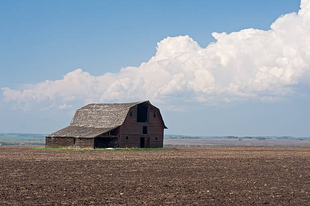 istock abandoned old farm building: barn in cultivated field 123975724