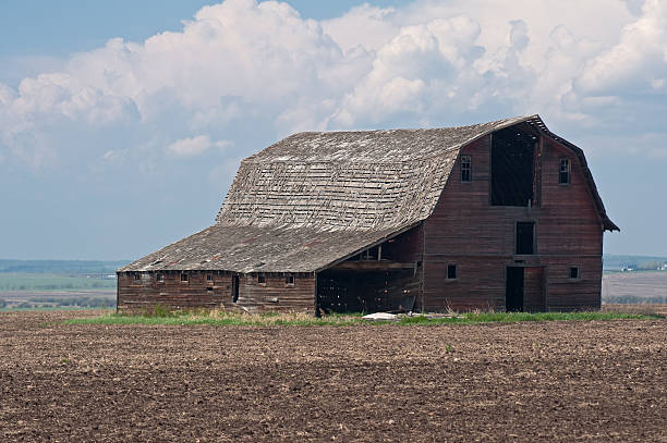 istock Old abandoned farm building:  faded red barn 123975727