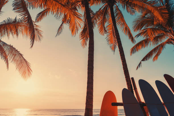 istock Surfboard and palm tree on beach double exposure with colorful bokeh sun light texture abstract background. 1239760465