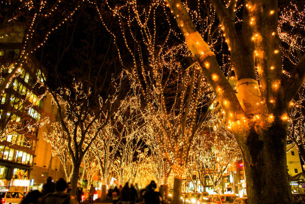 Sendai light of the pageant and the night view of Jozenji Street Sendai light of the pageant and the night view of Jozenji Street. Shooting Location: Sendai, Miyagi Prefecture 電球 stock pictures, royalty-free photos & images