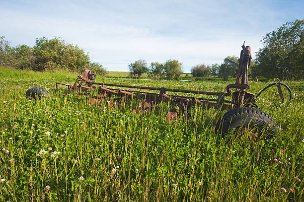 istock Old abandoned antique farm equipment:  breaking plow 123977717