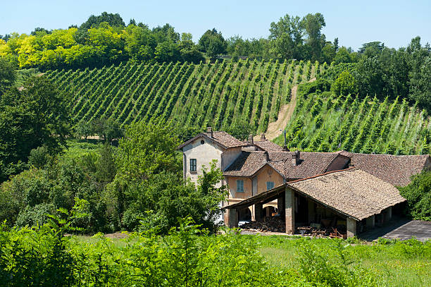 istock Old typical farm in the Oltrepo Pavese 123978145