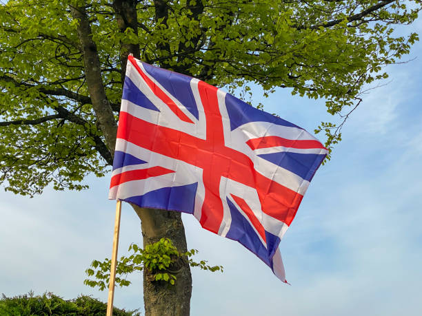 istock Union jack flag fluttering in a light breeze 1239781602