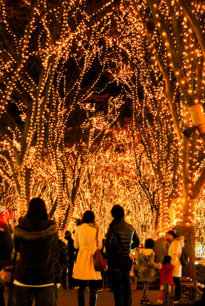 Sendai light of the pageant and the night view of Jozenji Street Sendai light of the pageant and the night view of Jozenji Street. Shooting Location: Sendai, Miyagi Prefecture 電球 stock pictures, royalty-free photos & images