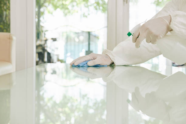 istock Worker in rubber gloves wiping surfaces 1239786050