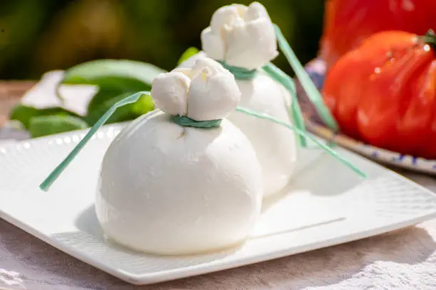 Fresh italian white soft cheese burrata or burratina served on outdoor terrace in sunny day