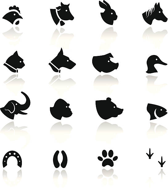 illustrazioni stock, clip art, cartoni animati e icone di tendenza di set di icone animali - mergini
