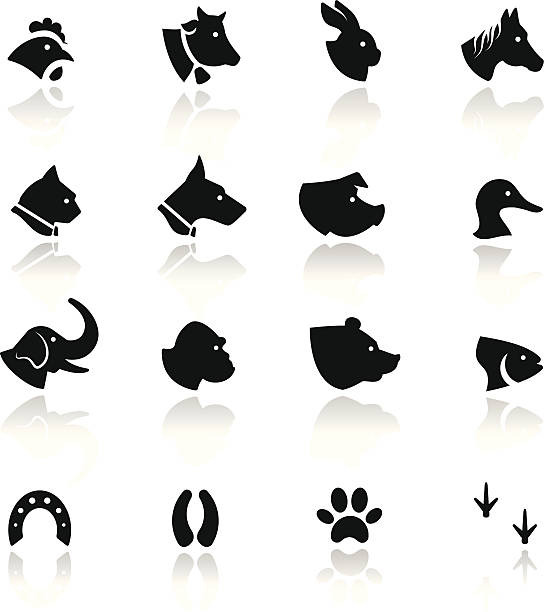 아이콘 세트 동물 - silhouette animal black domestic cat stock illustrations