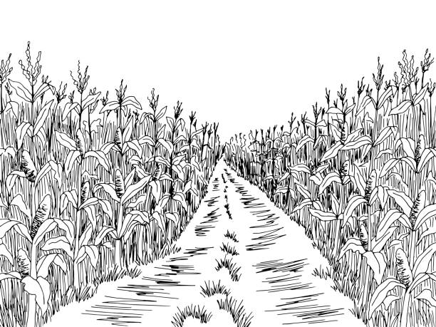 корнфилд дороги графический черный белый пейзаж эскиз иллюстрации вектор - farm vegetable black landscape stock illustrations