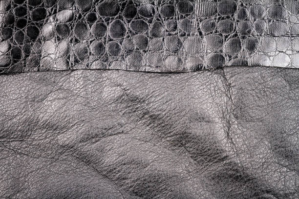 istock Black leather and fake alligator skin textures background 1239831493