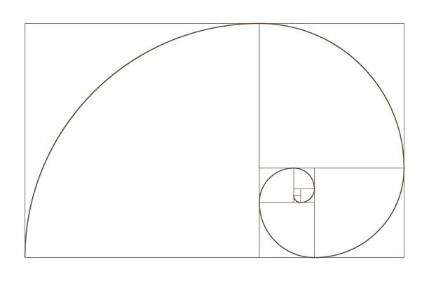 Golden Ratio spiral. Mathematical formula to guide designers for harmony composition Golden Ratio spiral. Mathematical formula to guide designers for harmony composition. Educational materials geometric concept. nautilus stock illustrations