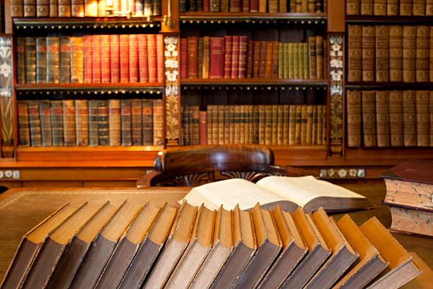 istock Row of books in classic library 123988258