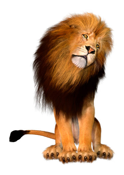istock 3D illustration male lion on white 1239888734