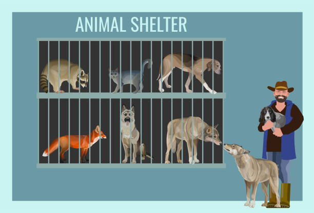 ilustraciones, imágenes clip art, dibujos animados e iconos de stock de refugio de animales con mascotas y dueño con perros - wild abandon