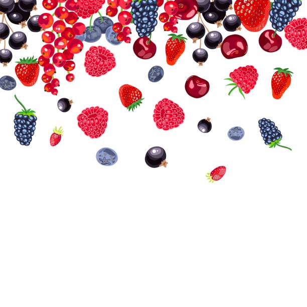 illustrations, cliparts, dessins animés et icônes de baies rouges et noires et fruits tombant du haut sur le fond blanc - cerise, cassis, fraise, fraise sauvage, myrtille, mûre, framboise, groseille - illustration vectorielle réaliste - berry fruit currant dessert vector