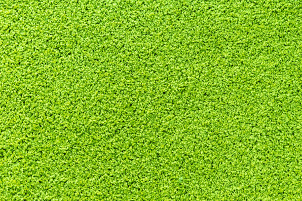 istock Texture of the green carpet with soft pile. Carpet background. 1239909443
