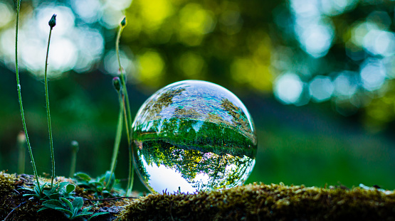 The foreground consists of a moss-covered stone. In the lensball you can see the background, which consists of a beautiful meadow with lush trees.