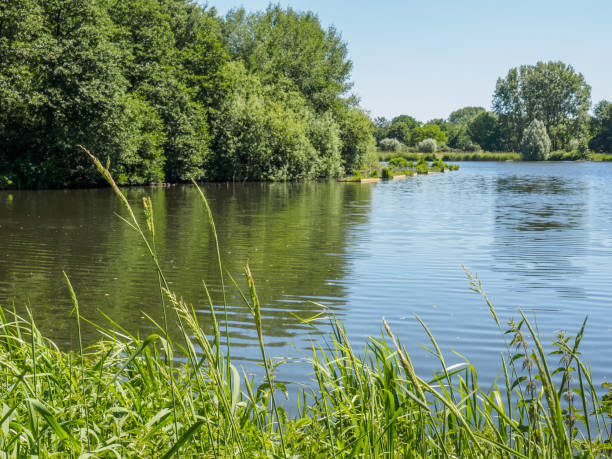 istock River Berkel and a small lake in Germany 1239940215