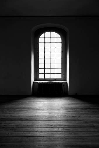 Empty renovated room with potted houseplant and black door