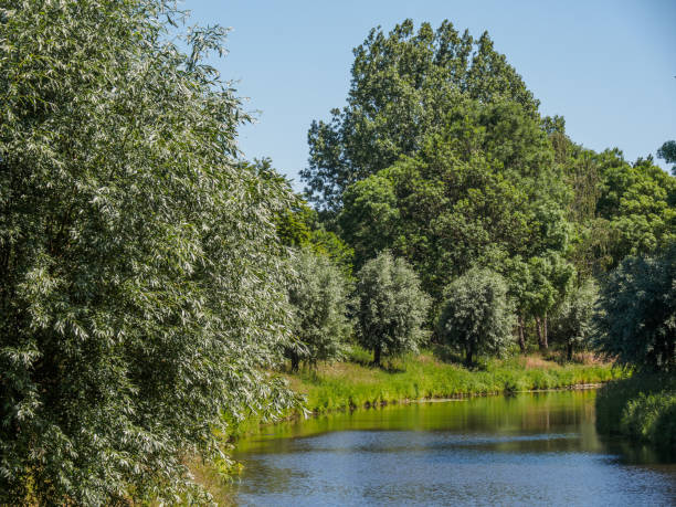 istock River Berkel and a small lake in Germany 1239946713
