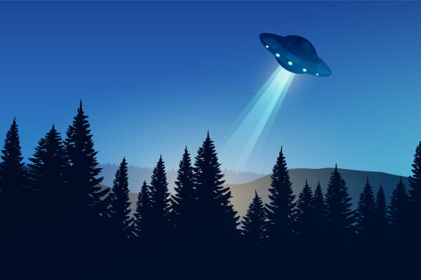 nachtwaldlandschaft mit ufo. fliegende untertasse über den dunklen wald. - mac stock-grafiken, -clipart, -cartoons und -symbole