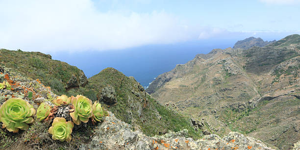 istock Landscape in national park Anaga 123995819