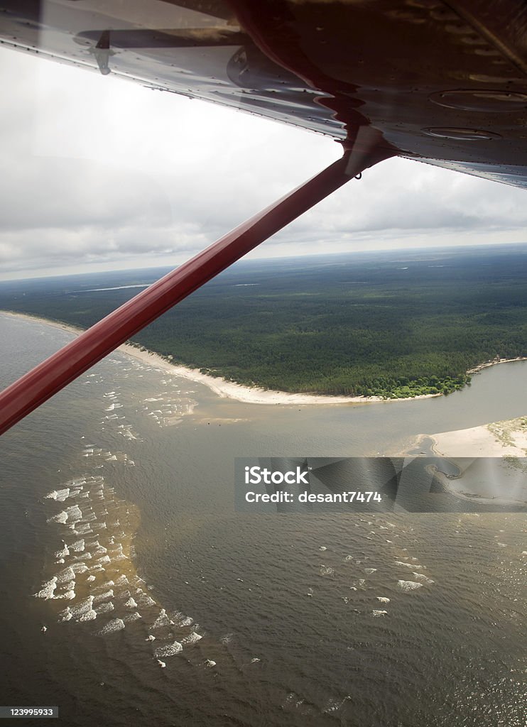 Terre vue depuis la cabine de l'avion - Photo de Arbre libre de droits