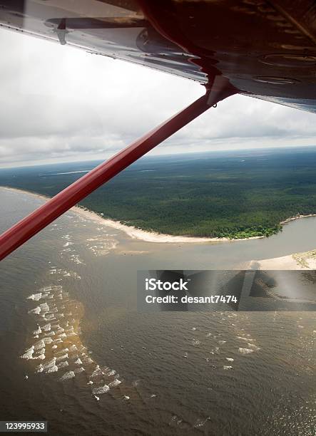 Widok Ziemi Z Samolotu Kabina - zdjęcia stockowe i więcej obrazów Drzewo - Drzewo, Fotografika, Jezioro
