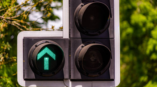 istock Traffic light with green straight on arrow / symbol 1239960772