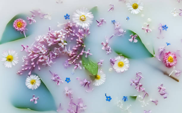 istock Delicate flowers and leaves in milk white background. 1239975370