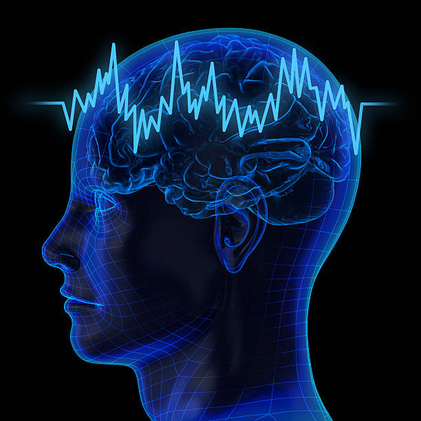 полупрозрачный голова человека и мозг с зигзагообразной линией - eeg стоковые фото и изображения