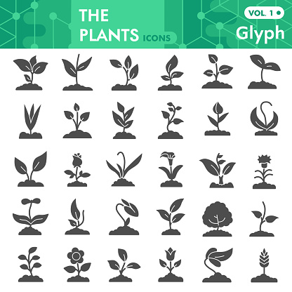 Plants solid icon set, gardening symbols collection or sketches. Seedling and sprout signs for web, glyph style pictogram package isolated on white background. Vector graphics