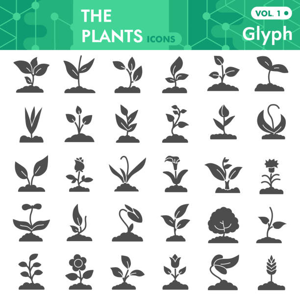 Plants solid icon set, gardening symbols collection or sketches. Seedling and sprout signs for web, glyph style pictogram package isolated on white background. Vector graphics. Plants solid icon set, gardening symbols collection or sketches. Seedling and sprout signs for web, glyph style pictogram package isolated on white background. Vector graphics bud stock illustrations