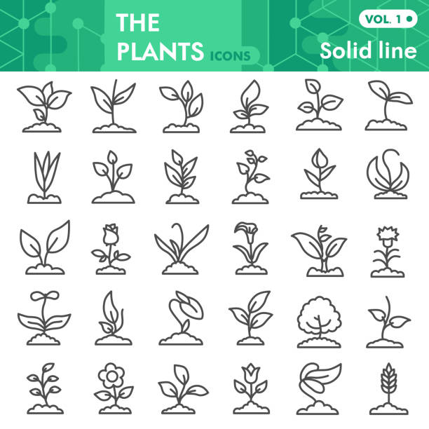 식물 선 아이콘 세트, 원예 기호 컬렉션 또는 스케치. 웹에 대한 모종 및 새싹 기호, 흰색 배경에 격리 선형 스타일 픽토그램 패키지. 벡터 그래픽. - flower symbol sign vector stock illustrations