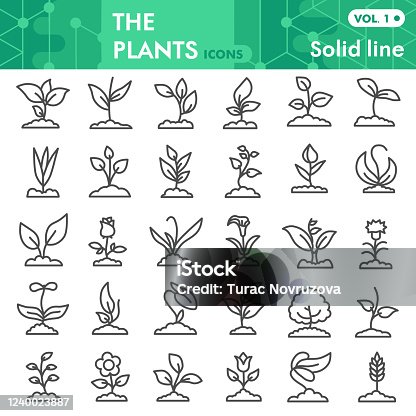 istock Plants line icon set, gardening symbols collection or sketches. Seedling and sprout signs for web, linear style pictogram package isolated on white background. Vector graphics. 1240023887