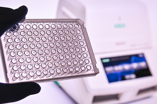 96-well PCR plate. Equipment for Real Time amplification.