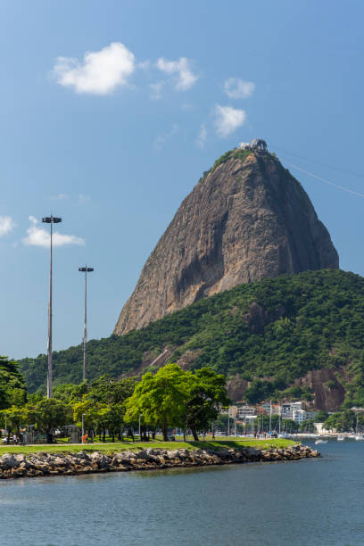 splendida vista sulla montagna sugar loaf in una giornata di sole - urca rio de janeiro rainforest brazil foto e immagini stock